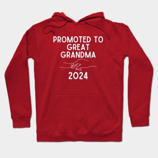 Promoted To Great Grandma 2024 New Great Grandmother Hoodie